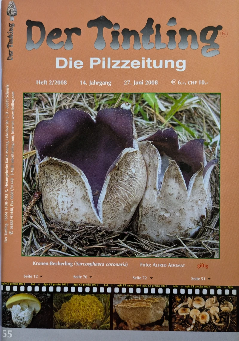 Der Tintling - Ausgabe 55