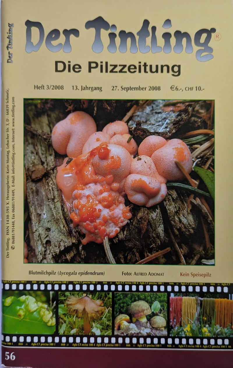 Der Tintling - Ausgabe 56