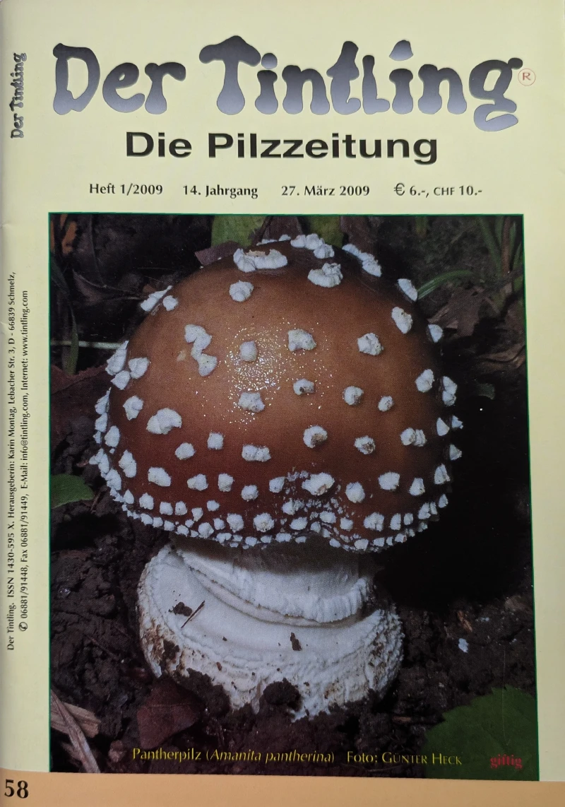 Der Tintling - Ausgabe 58