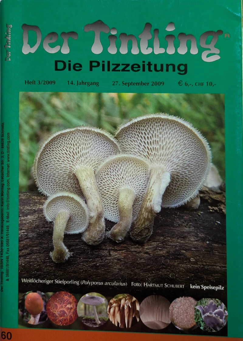Der Tintling - Ausgabe 60