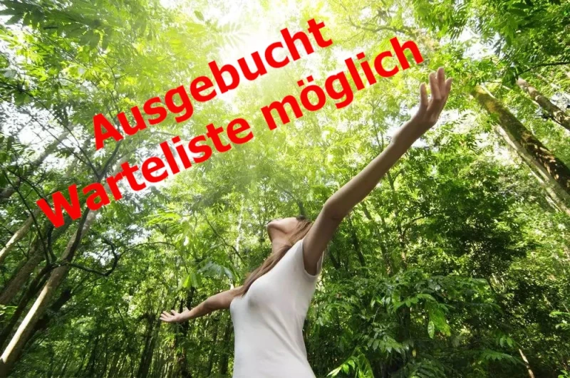 Parasol, Maronen, Pfifferlinge, Steinpilz, Goldröhrling, Rotkappe