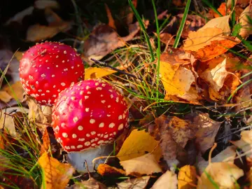 Seminar 2 vom 21.-23.8.26